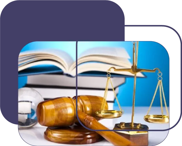 PROTECCIÓN Y SUPERVISIÓN REGULATORIA EN FIDEICOMISO